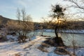 Frosty winter morning in nature, warm morning light on the background of snow, shrubs and trees in patterns of frost.