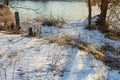 Frosty winter morning in nature, warm morning light on the background of snow, shrubs and trees in patterns of frost.