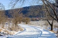 Frosty winter morning in nature, warm morning light on the background of snow, shrubs and trees in patterns of frost.