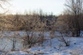 A frosty winter morning in a mountainous area, the rays of the rising sun illuminate the area and the ice-free mountain river. Royalty Free Stock Photo