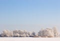 Frosty winter scene under blue sky