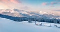 Frosty winter sunrise in Carpathian mountains with snow covered fir trees. Dreamy outdoor panorama, Happy New Year celebration Royalty Free Stock Photo