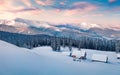 Frosty winter sunrise in Carpathian mountains with snow covered fir trees. Dreamy outdoor panorama, Happy New Year celebration Royalty Free Stock Photo