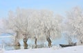 Frosty winter trees and boat Royalty Free Stock Photo