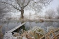 Frosty winter trees and footbridge Royalty Free Stock Photo