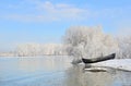 Frosty winter trees near Danube river Royalty Free Stock Photo