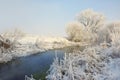 Frosty winter trees on river Royalty Free Stock Photo