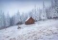 Frosty winter view of abandoned mountain village with old wooden chalet. Royalty Free Stock Photo