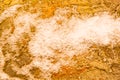 Froth, Air Bubble Circulation in glowing golden colored light reflection on sunset water surface background. Abstract, Backdrop, Royalty Free Stock Photo
