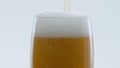Froth beer pouring bubbling inside glass in super slow motion close up. Royalty Free Stock Photo
