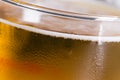 Froth blond beer macro still Royalty Free Stock Photo