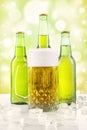 Frothy beer in the glass and bottles Royalty Free Stock Photo