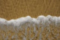 Frothy ocean wave on a sandy beach Royalty Free Stock Photo