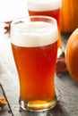 Frothy Orange Pumpkin Ale Royalty Free Stock Photo