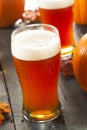 Frothy Orange Pumpkin Ale Royalty Free Stock Photo