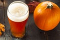 Frothy Orange Pumpkin Ale Royalty Free Stock Photo