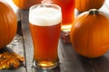 Frothy Orange Pumpkin Ale Royalty Free Stock Photo