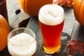 Frothy Orange Pumpkin Ale Royalty Free Stock Photo