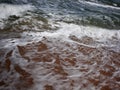 Frothy waves of the sea on the sandy beach. Foamy wave rolls