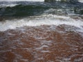 Frothy waves of the sea on the sandy beach. Foamy wave rolls