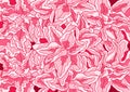 Frower pink design background paint