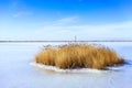 Froze the lagoon Kalochori in Greece Royalty Free Stock Photo