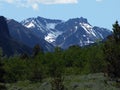 Froze to Death Mountain Royalty Free Stock Photo