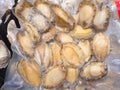 Frozen abalone in vacuum pack on sale