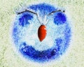 Frozen abstract happy face with smile, red nose and eyes