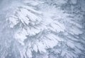 Frozen abstract snow crystals