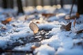 Frozen adventure Hillside climbing leaves human footprints etched in snowy path