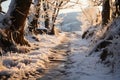 Frozen adventure Hillside climbing leaves human footprints etched in snowy path