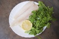 Frozen Alaska Pollock fillet with lemon and parsley on white plate. Royalty Free Stock Photo