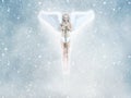 Frozen Angel Fairy Illustration