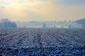 Frozen farmland and trees on cold hazy winter Royalty Free Stock Photo