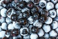 Frozen aronia berries in a bowl Royalty Free Stock Photo