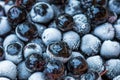 Frozen aronia chokeberry berries in a bowl Royalty Free Stock Photo
