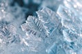 Frozen Artistry: Crystalized Ice Patterns Royalty Free Stock Photo