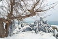 Frozen Ashbridges Bay in Toronto Royalty Free Stock Photo