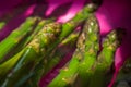 Frozen asparagus stems in water