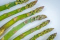 Frozen asparagus stems on white background closeup