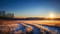 frozen autumn field with sunset