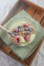 Frozen avocado smoothie bowl with frozen berries Royalty Free Stock Photo