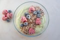 Frozen avocado smoothie bowl with frozen berries Royalty Free Stock Photo