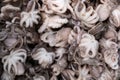 Frozen baby octopus as background. Wholesale market