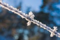 Frozen barbed wire Royalty Free Stock Photo