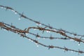 Frozen barbed wire Royalty Free Stock Photo