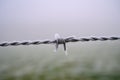 Frozen Barbed wire isolated from background Royalty Free Stock Photo