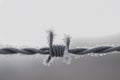 Frozen barbed wire in the winter Royalty Free Stock Photo