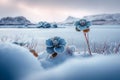 Frozen beauty Natures elegance revealed in stunning winter landscape